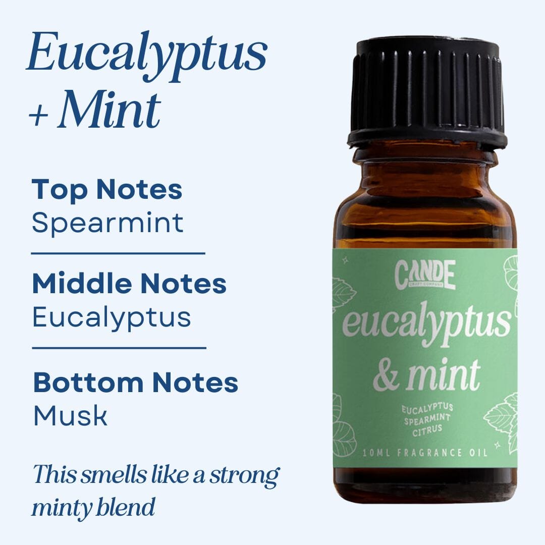 Scented Premium Fragrance Oil C & E Craft Co Eucalyptus & Mint