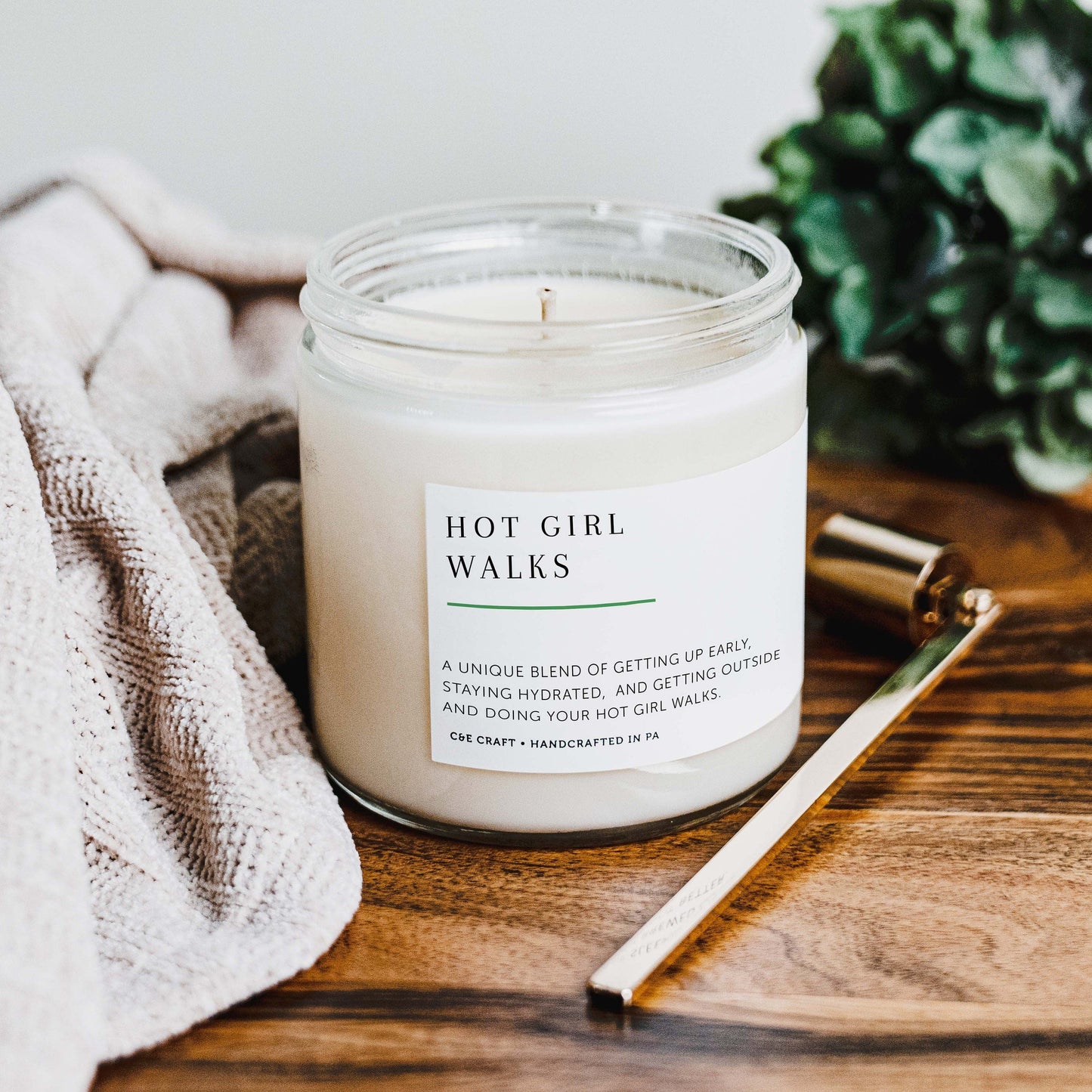 Hot Girl Walks Scented Candle C & E Craft Co