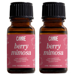 Scented Premium Fragrance Oil Multi Pack - Long-lasting Fragrance for Home
