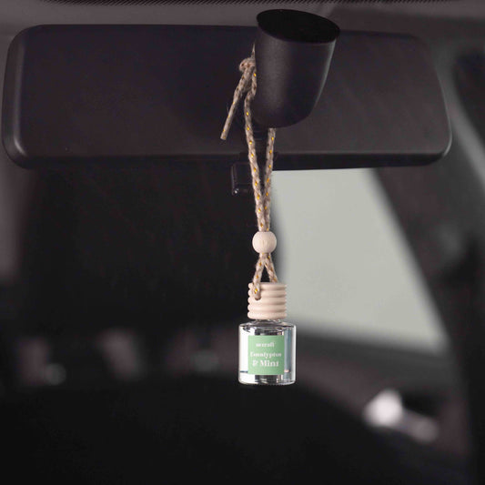 Cherry Scented Car Freshener Vehicle Air Fresheners CE Craft 